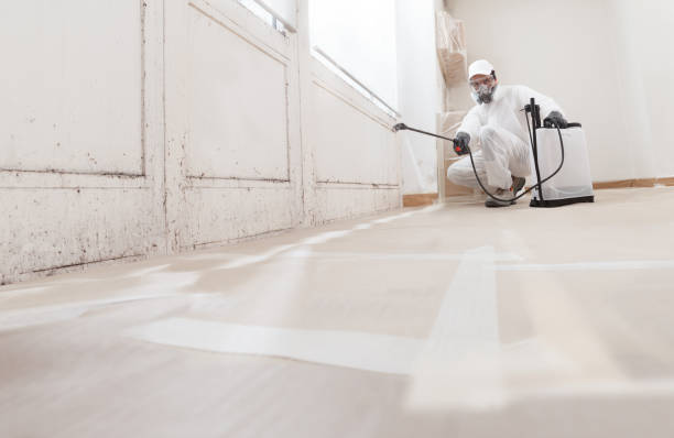 24/7 Emergency Attic Mold Remediation experts in Hilltown, PA
