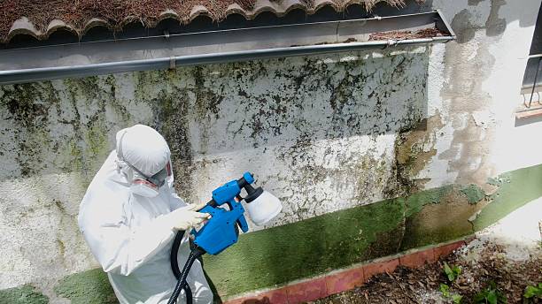 Top rated local Attic Mold Remediation specialists in Hilltown, PA